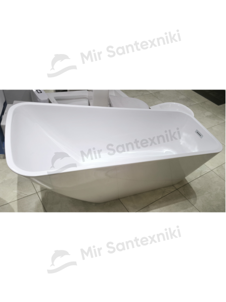 Debora vannasi EIL-6106